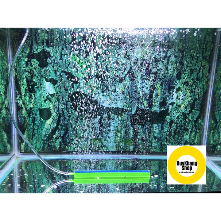 Thanh Sủi Oxy 20cm Cho Bể Cá, Hồ Cá Cảnh, Hồ Thủy Sinh