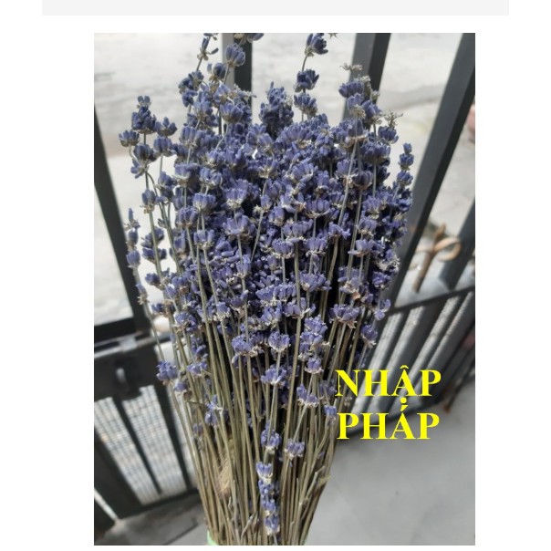 Bó hoa khô hoa lavender 130g (nhập Anh, nhập Pháp)- tặng kèm túi thơm