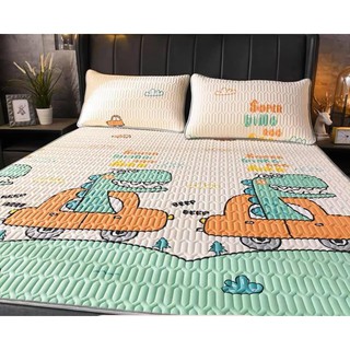 Chiếu điều hòa tencel ( mầu theo hình đại diện)