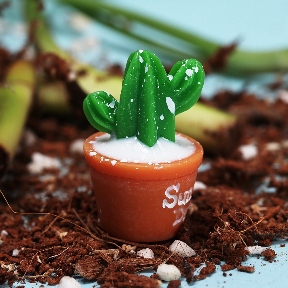 Set 3 chậu cây xương rồng mini bằng resin dùng trang trí tiểu cảnh