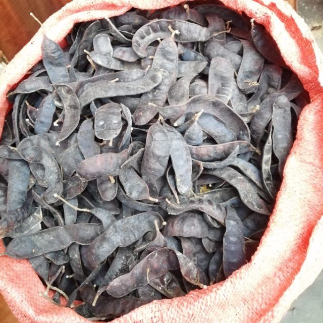Quả bồ kết