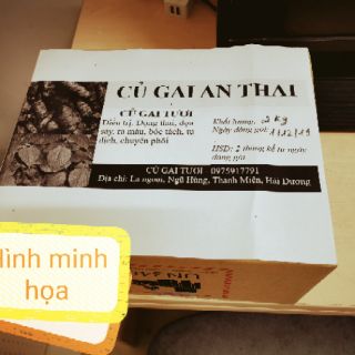 Củ gai tươi (an thai)