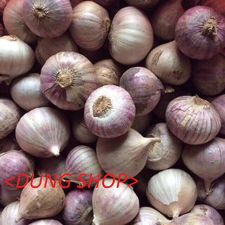 TỎI CÔ ĐƠN 1KG