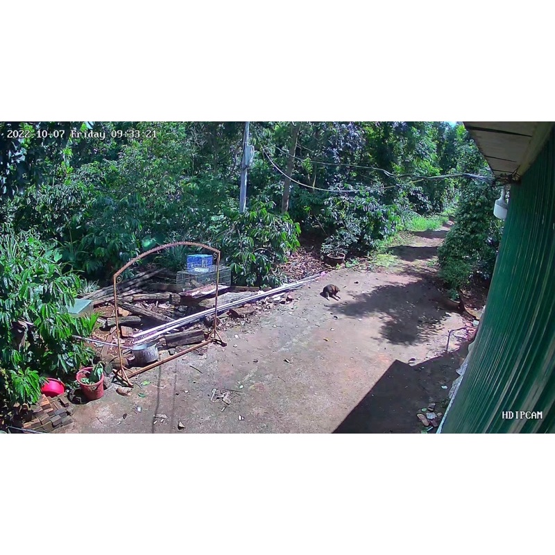 Camera Wifi Seetong,TOPSEE PTZ 2300K 3.0Mp, ngoài trời