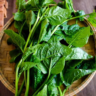 Hạt Giống Mồng Tơi VRDI 20gr