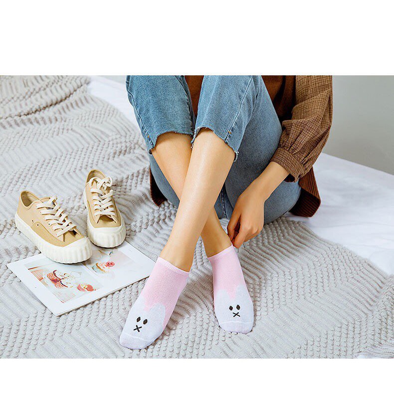 [RẺ VÔ ĐỊCH] Set 5 đôi tất chân xuất hoạt hình cổ ngắn chất len đẹp 5 màu Hàn Quốc