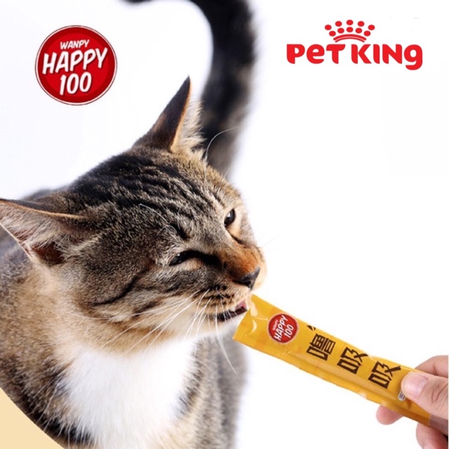 Súp Thưởng Wanpy Happy 100 gói 5 thanh x14g