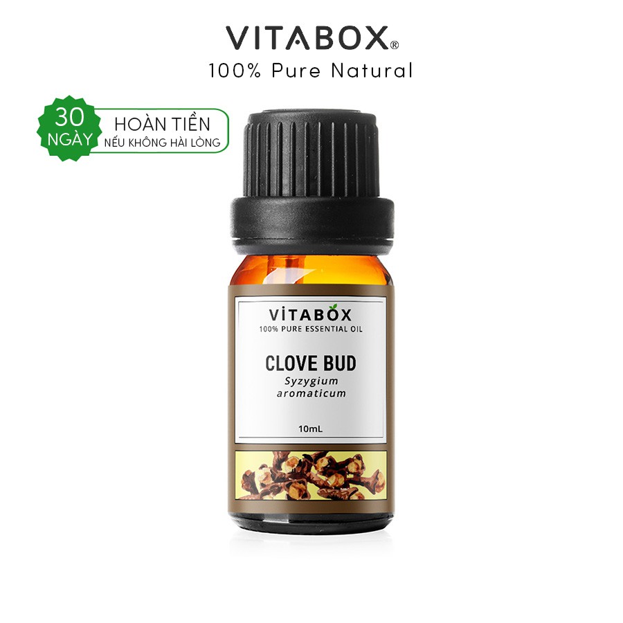 Tinh dầu Nụ Đinh Hương Clove Bud VITABOX - 100% thiên nhiên nguyên chất - pure essential oil