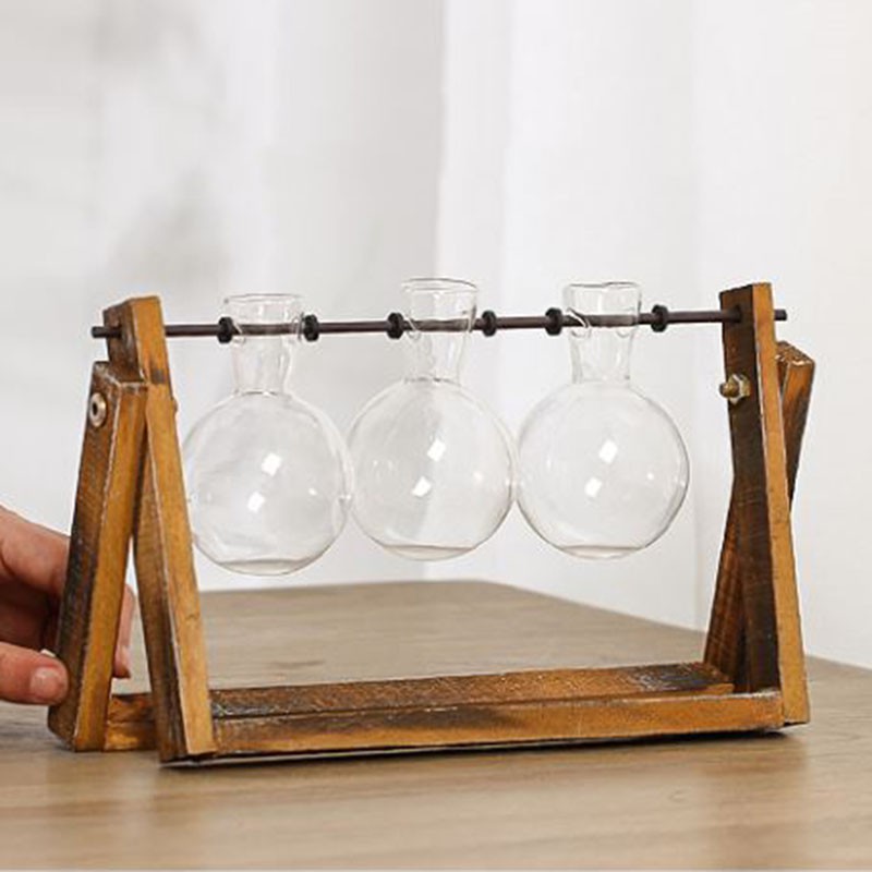 Chậu hoa thủy tinh thiết kế sáng tạo