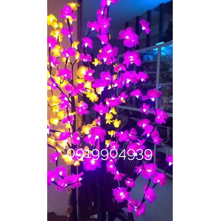 CÂY MAI / CÂY ĐÀO CÓ LED 8 CHẾ ĐỘ - CÂY MAI, ĐÀO TRƯNG TẾT 1M2