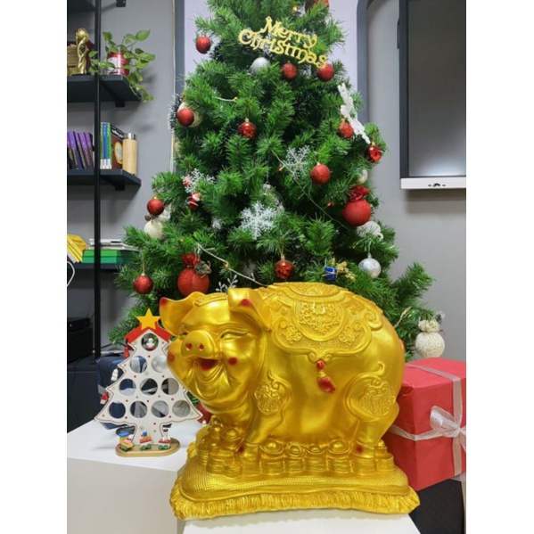 Lợn Bệ vàng tiết kiệm siêu to - siêu đẹp . Size 2-to khổng lồ