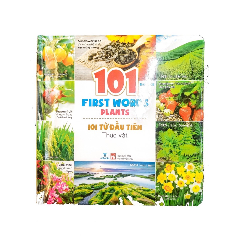 Sách - 101 First Words - 101 Từ đầu tiên - Song ngữ Anh - Việt - ndbooks
