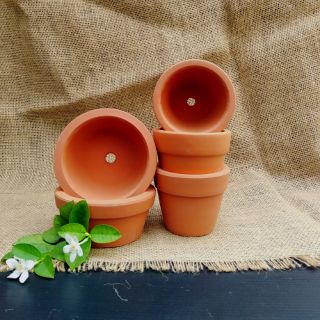 Combo 5 Chậu Đất Nung Kt:12 x 5.5 và 9 x 8 cm