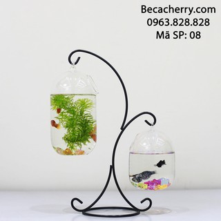 Bể Cá Mini Chữ X - 08 ( Tặng Kèm Phụ Kiện Trang Trí )