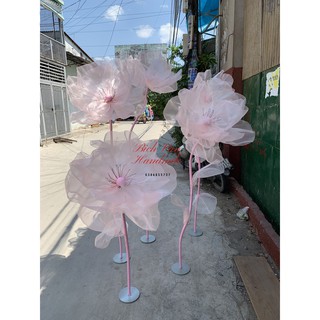 Trụ Hoa Vải Khổng Lồ Trang Trí Studio, Sự Kiện