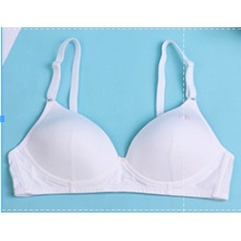 Bra / Áo Ngực Cotton Hình Mèo Nữ Sinh Xuất Đông Âu ( AL203 ). | BigBuy360 - bigbuy360.vn