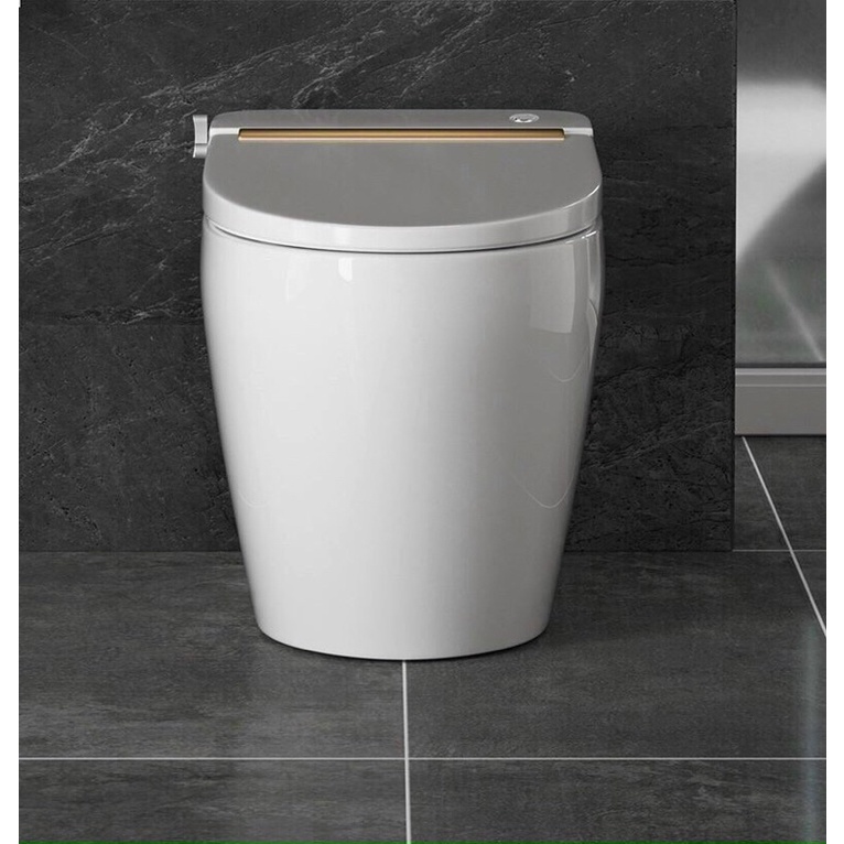 Bồn cầu không két nước Cherry có nắp rửa Bidet