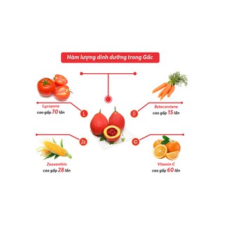Gấc Pha Chế - Gấc concentrate