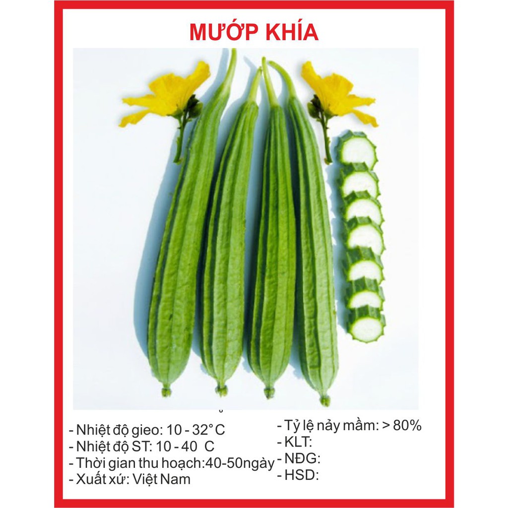 Hạt giống Mướp Khía - 10 Hạt