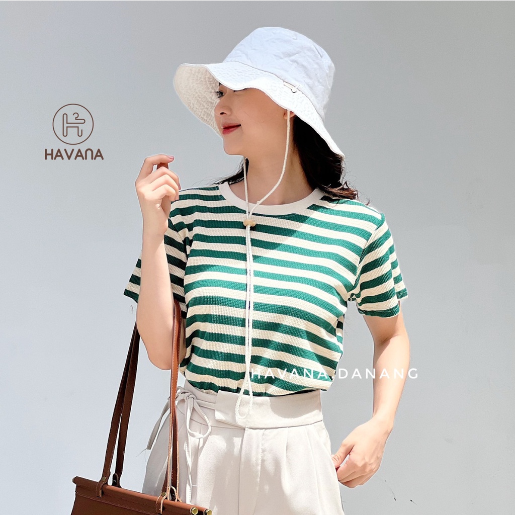 Áo thun nữ ngắn tay cổ tròn kẻ sọc, áo dệt kim co giãn phong cách Hàn Quốc AE213