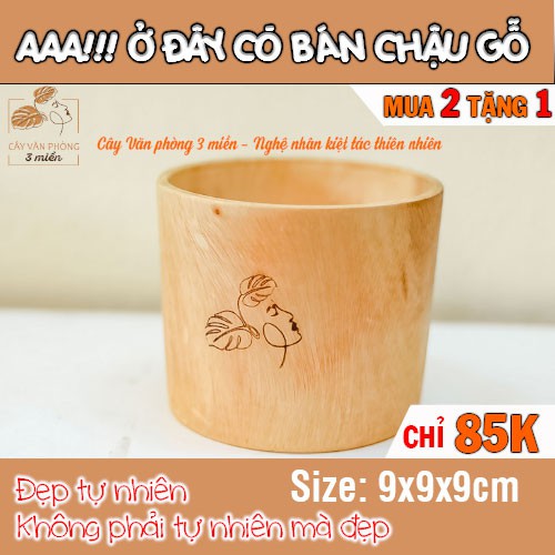 [MUA 2 TẶNG 1] Chậu gỗ tròn Ang được nghệ nhân làm