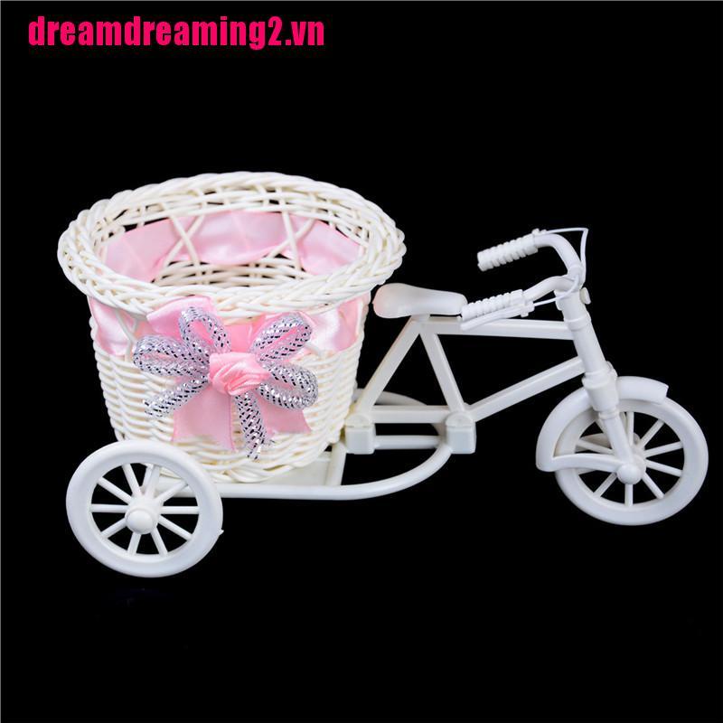 Bộ 2 Bình Hoa Dạng Bện Hình Xe Đạp Lãng Mạn