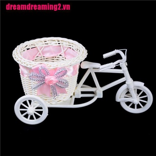 Bộ 2 Bình Hoa Dạng Bện Hình Xe Đạp Lãng Mạn