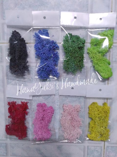 5g Reindeer Moss - rêu tuần lộc đủ màu đẹp mê dùng sáng tạo trong Resin , thiệp, decor, tranh 3D, diy...v.v..