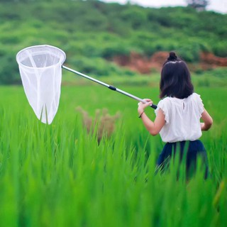 Vợt Bắt Cá Cán Cầm Hình Bướm