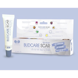 Gel mờ sẹo Budcare Scar