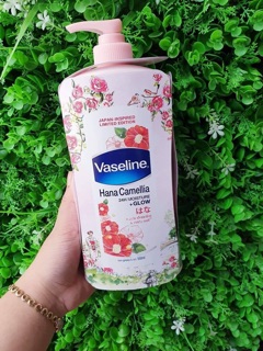 DƯỠNG THỂ VASELINE  THÁI LAN