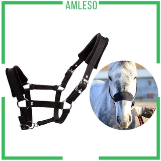 [Amleso] Dây ngựa có đệm mềm có dây buộc Headstall Head Collar Cưỡi ngựa ổn định