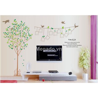 Decal khung ảnh A008