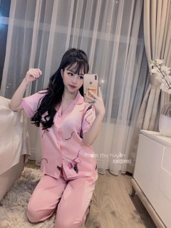 Bộ ngủ hạc