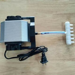 Máy oxi hồ cá 16w resun ap30