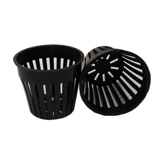 Rọ trồng thủy canh 80 combo 50 cái