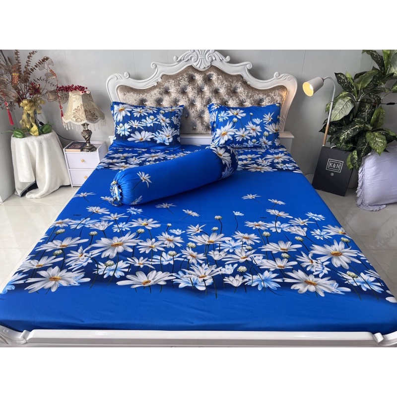Bộ Drap thun hàn quốc mẫu hoa cúc 6 màu