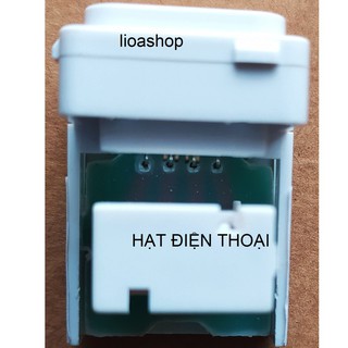HẠT THÔNG TIN VUÔNG LiOA.