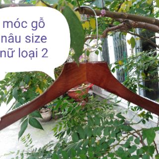 Móc áo gỗ nâu combo 10 cây