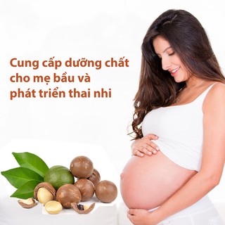 Hạt Macca Úc Nứt Vỏ -Kèm Đồ Khui