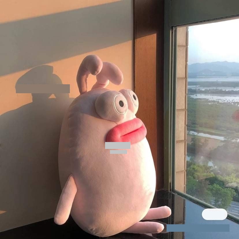 Order | Thú bông môi trề mắt trố độc đáo lạ mắt