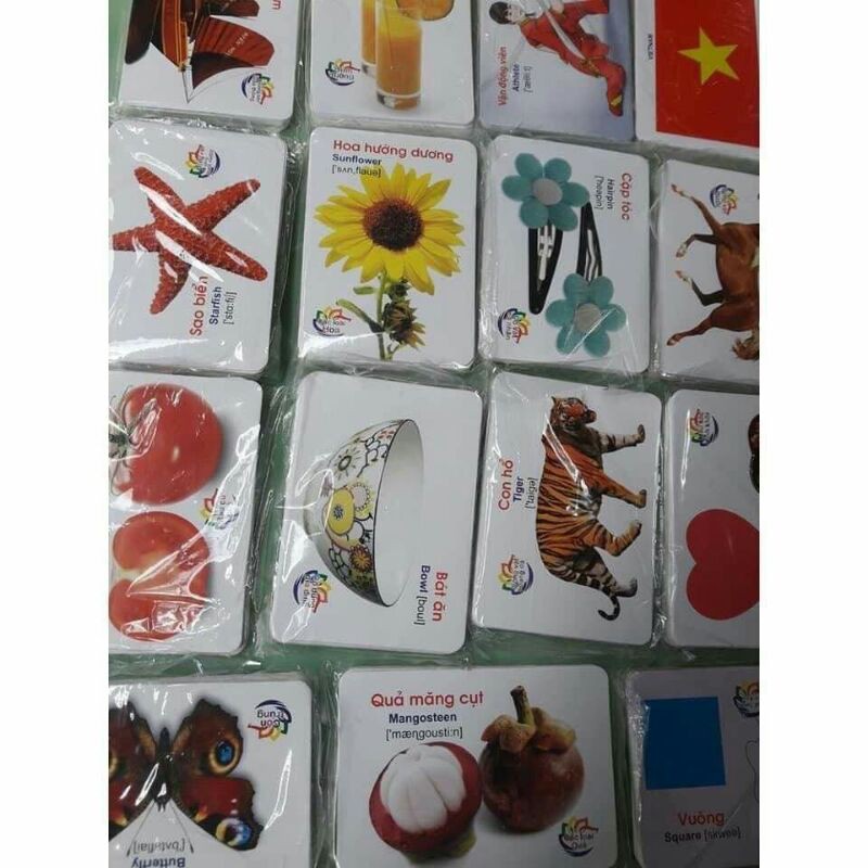 Bộ 416 thẻ học chữ song ngữ thẻ học thông minh 16 chủ đề dochoigo.vn