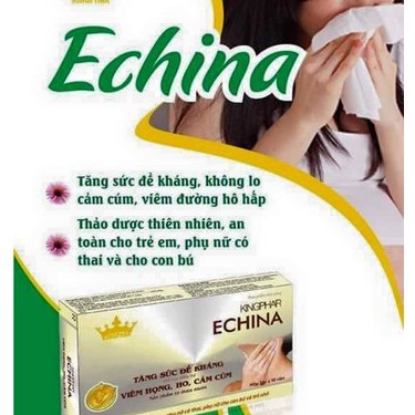 Echina Kingphar - Hỗ trợ điều trị viêm họng, ho và cảm cúm (Hộp 3 vỉ x 10 viên)