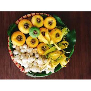 Mẹt tre trang trí