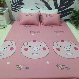 SET GA GỐI COTTON POLY THOÁNG MÁT