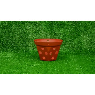 Bộ 5 Chậu Nhựa Giả Đất Nung Cao Cấp Chuyên Dùng Trồng Lan 21x15cm - Dày Dặn, Bền Đẹp (Hàng VNXK)