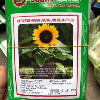 [FREESHIP] Hạt giống hoa hướng dương, cúc bách nhật, sao nhái, cúc họa mi