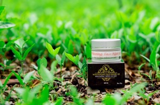 KEM FACE WHITENING NGỌC LỆ
