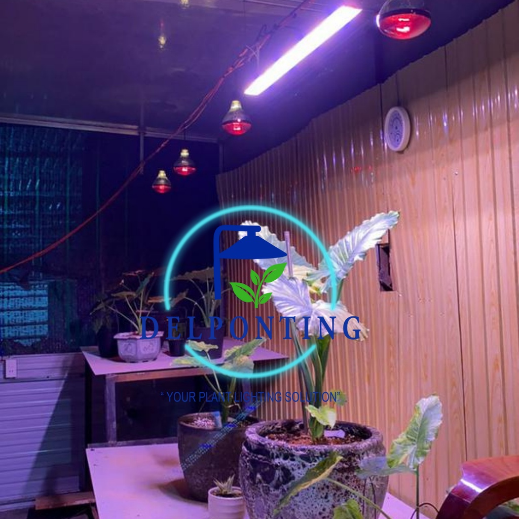 Đèn LED kích thích cây trồng phát triển mạnh MT900 LED 100WI, Đèn quang hợp cho cây trồng trong nhà