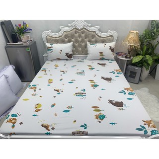 Ga Chống Thấm Cao Cấp Ú Òa Lớp vải tiếp xúc 100% cotton thun phủ NANO kháng khuẩn kháng ẩm 1m6-2m2